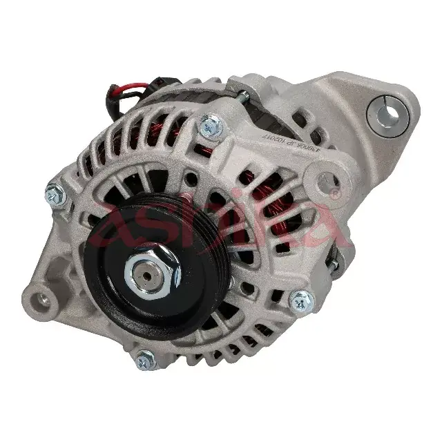 Ostatnia szansa ALTERNATOR