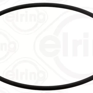 O-RING 100X3,10 FPM SH70 RD FUEL PUMP Ekspresowa dostawa